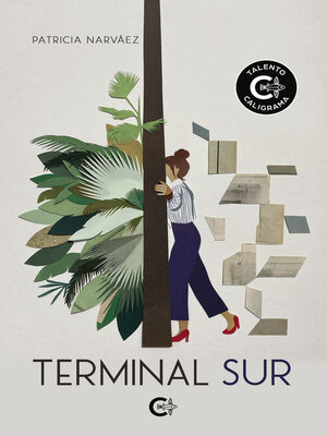 cover image of Terminal Sur